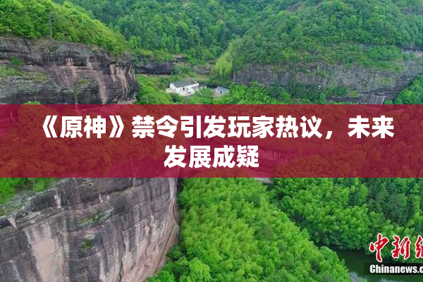 《原神》禁令引发玩家热议，未来发展成疑