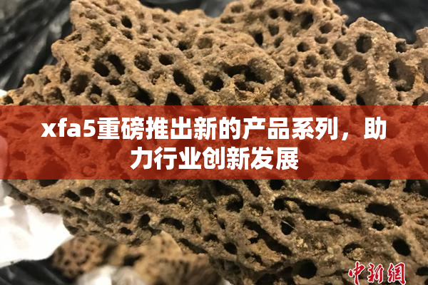 xfa5重磅推出新的产品系列，助力行业创新发展