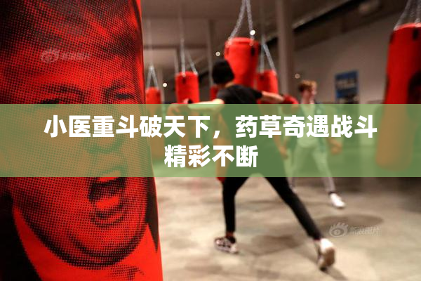 小医重斗破天下，药草奇遇战斗精彩不断
