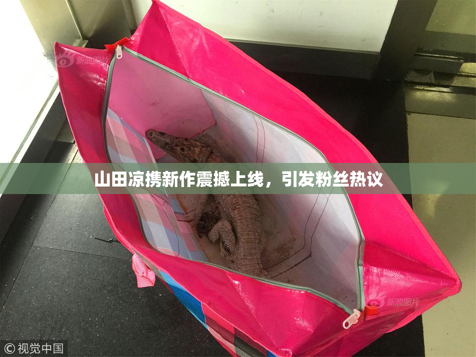 山田凉携新作震撼上线，引发粉丝热议