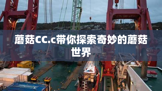 蘑菇CC.c带你探索奇妙的蘑菇世界