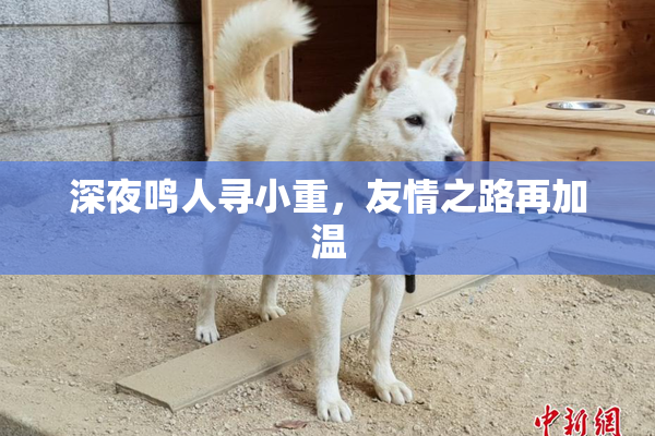 深夜鸣人寻小重，友情之路再加温