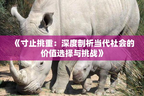 《寸止挑重：深度剖析当代社会的价值选择与挑战》