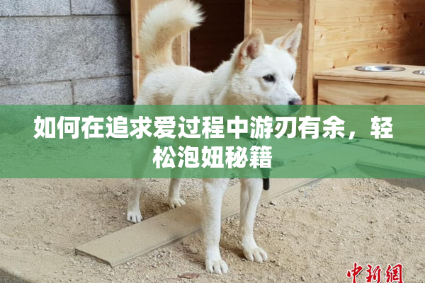 如何在追求爱过程中游刃有余，轻松泡妞秘籍