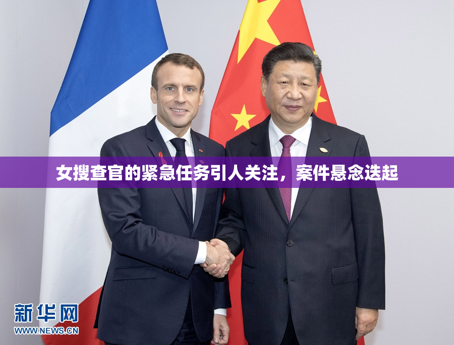 女搜查官的紧急任务引人关注，案件悬念迭起