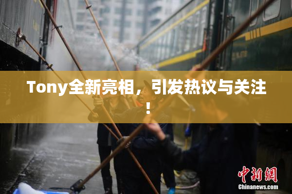 Tony全新亮相，引发热议与关注！