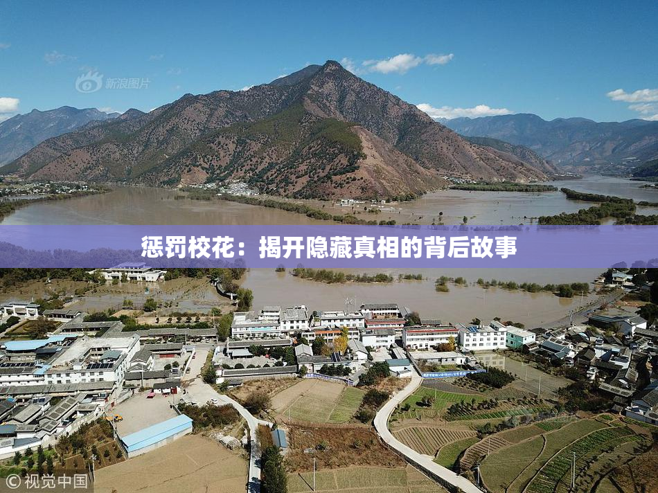 惩罚校花：揭开隐藏真相的背后故事