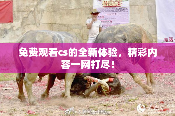 免费观看cs的全新体验，精彩内容一网打尽！