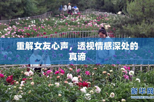 重解女友心声，透视情感深处的真谛