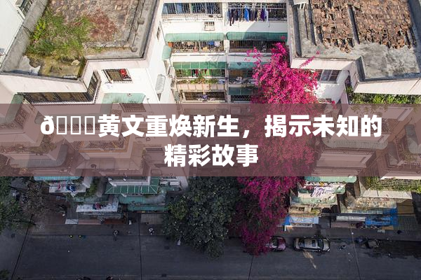 🔞黄文重焕新生，揭示未知的精彩故事
