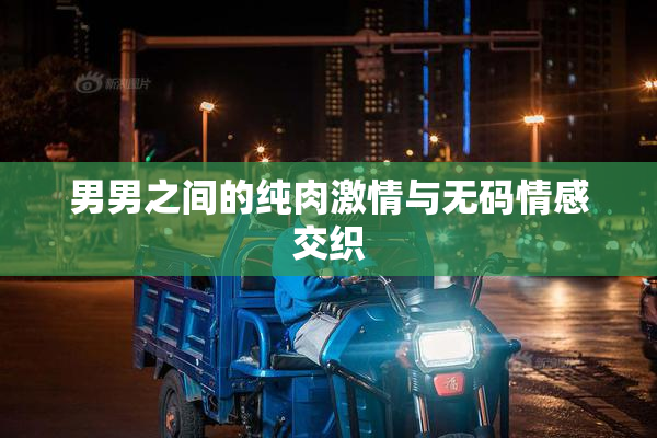 男男之间的纯肉激情与无码情感交织