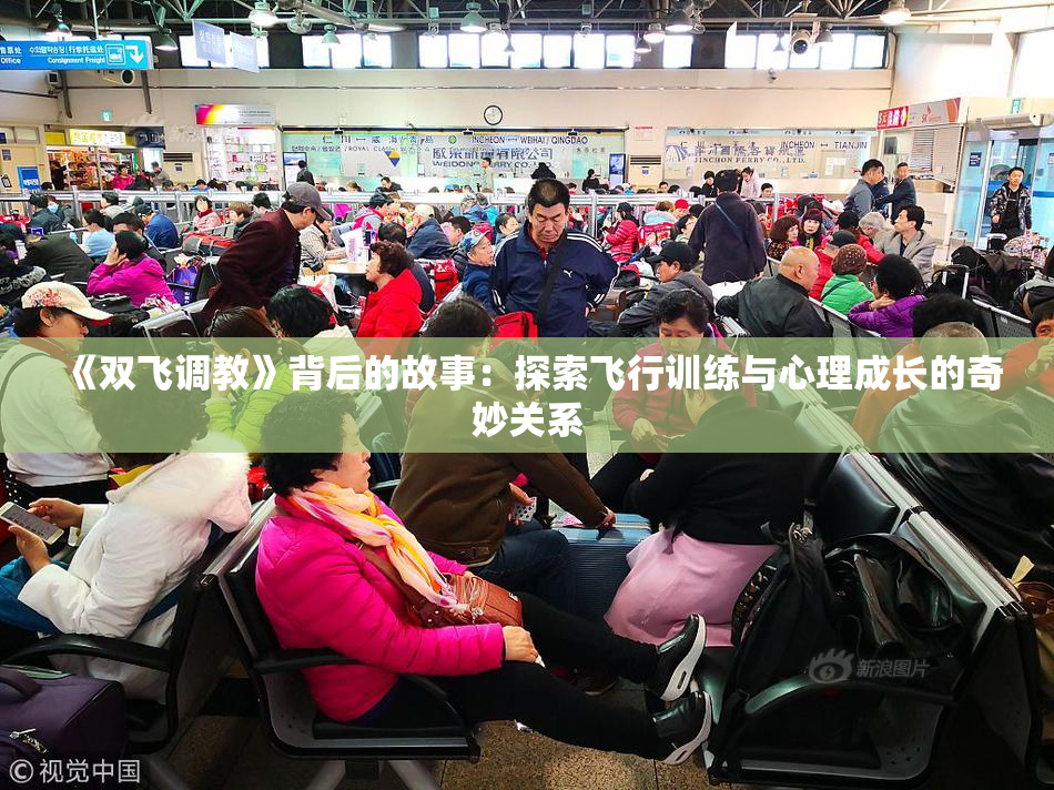 《双飞调教》背后的故事：探索飞行训练与心理成长的奇妙关系
