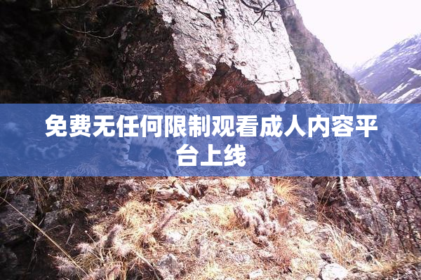 免费无任何限制观看成人内容平台上线