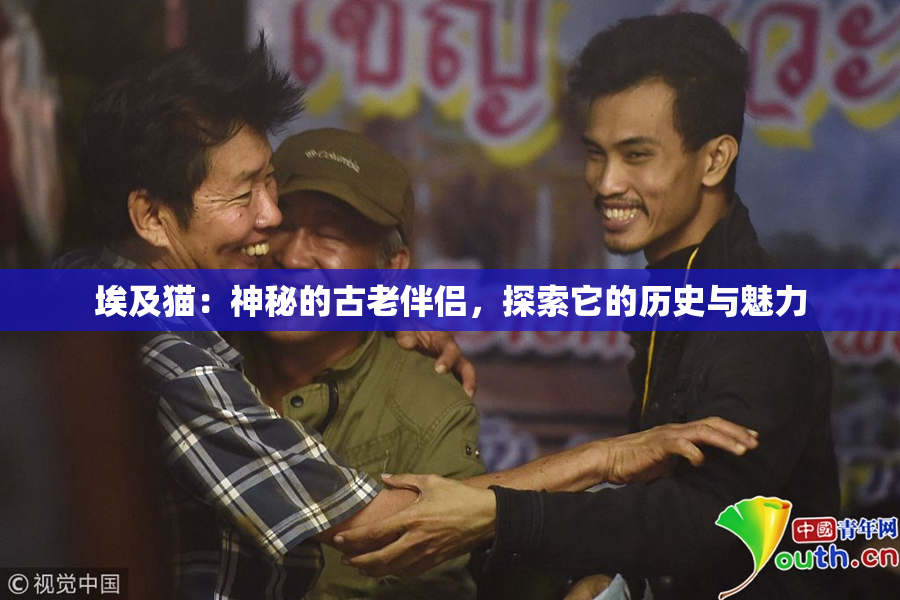 埃及猫：神秘的古老伴侣，探索它的历史与魅力