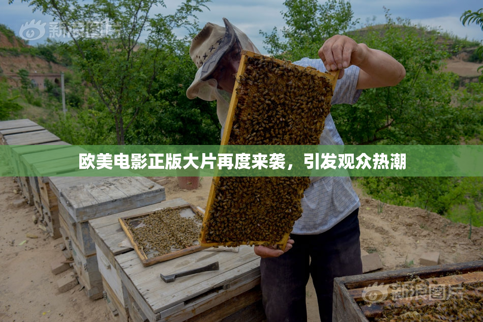 欧美电影正版大片再度来袭，引发观众热潮