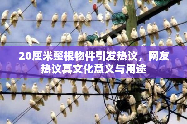 20厘米整根物件引发热议，网友热议其文化意义与用途