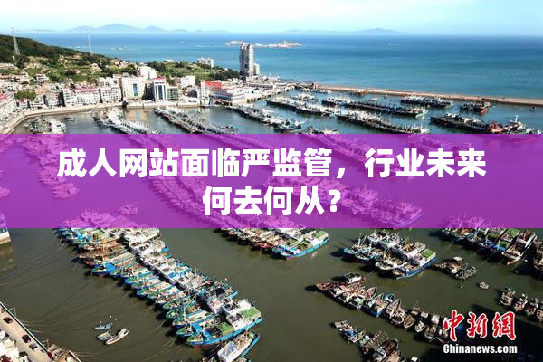 成人网站面临严监管，行业未来何去何从？