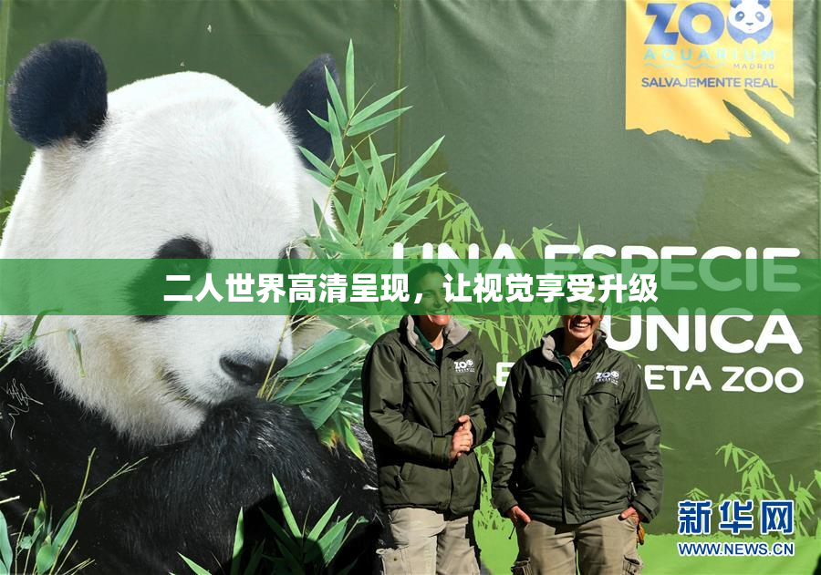 二人世界高清呈现，让视觉享受升级