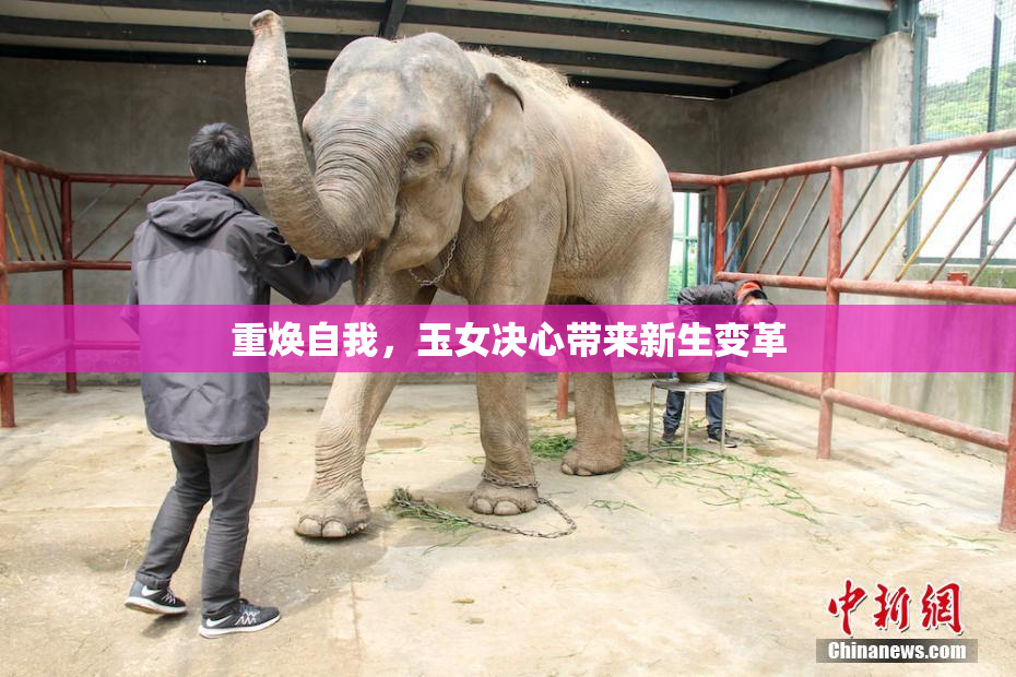 重焕自我，玉女决心带来新生变革