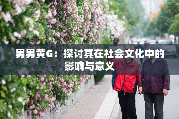 男男黄G：探讨其在社会文化中的影响与意义