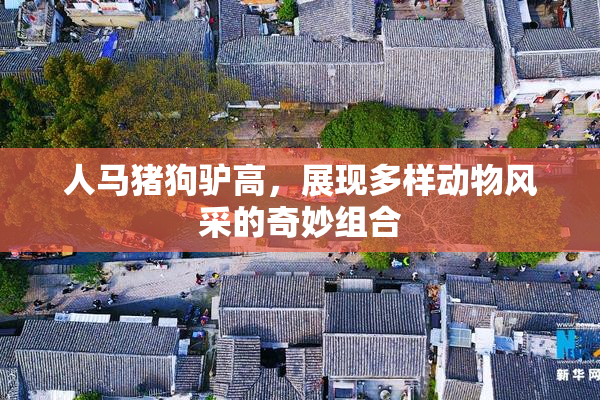 人马猪狗驴高，展现多样动物风采的奇妙组合