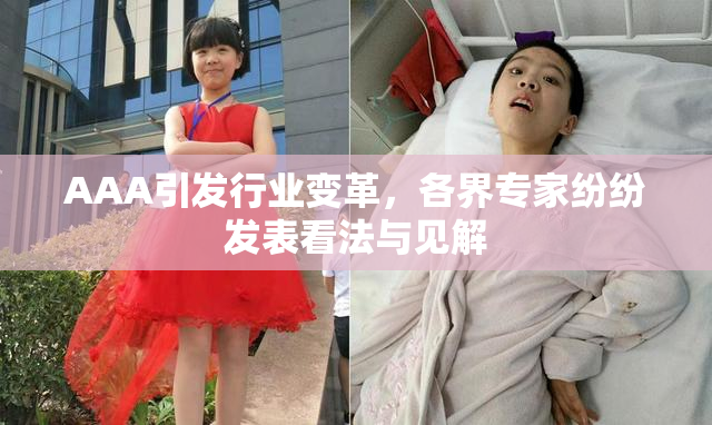 AAA引发行业变革，各界专家纷纷发表看法与见解