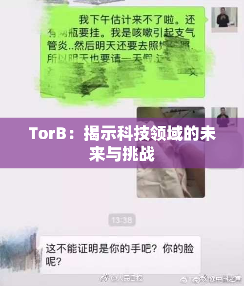 TorB：揭示科技领域的未来与挑战