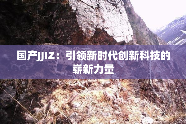 国产JJIZ：引领新时代创新科技的崭新力量