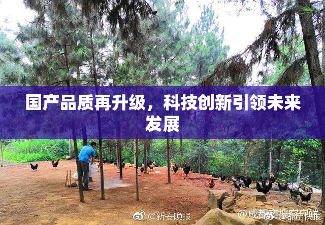 国产品质再升级，科技创新引领未来发展