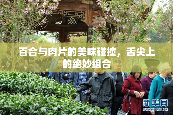 百合与肉片的美味碰撞，舌尖上的绝妙组合