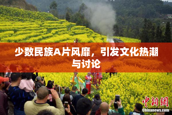 少数民族A片风靡，引发文化热潮与讨论