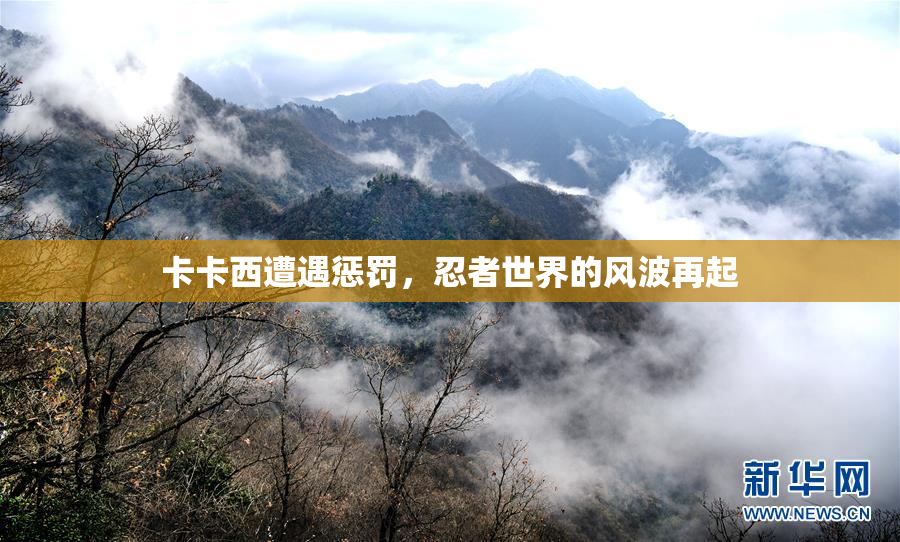 卡卡西遭遇惩罚，忍者世界的风波再起