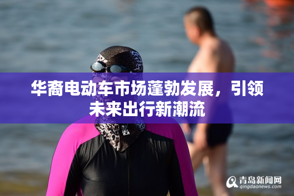 华裔电动车市场蓬勃发展，引领未来出行新潮流