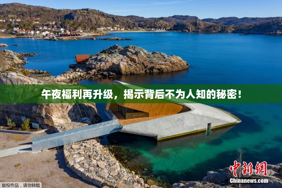 午夜福利再升级，揭示背后不为人知的秘密！