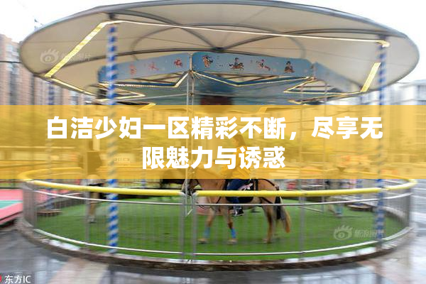 白洁少妇一区精彩不断，尽享无限魅力与诱惑