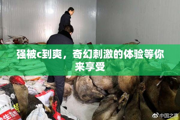 强被c到爽，奇幻刺激的体验等你来享受