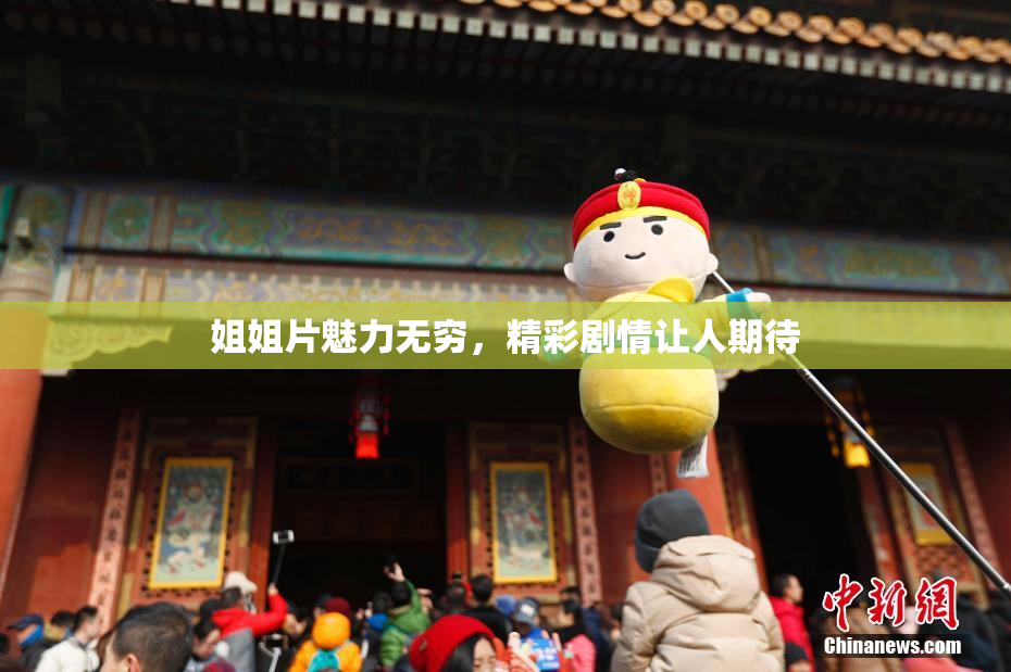 姐姐片魅力无穷，精彩剧情让人期待