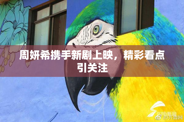周妍希携手新剧上映，精彩看点引关注