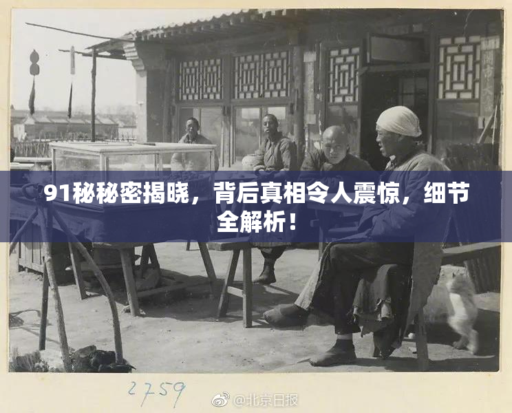91秘秘密揭晓，背后真相令人震惊，细节全解析！