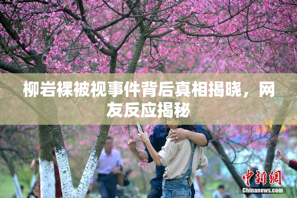 柳岩裸被视事件背后真相揭晓，网友反应揭秘