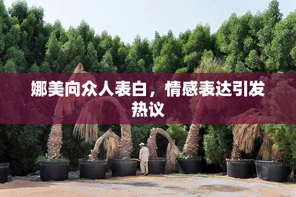 娜美向众人表白，情感表达引发热议