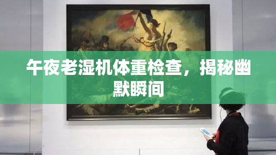午夜老湿机体重检查，揭秘幽默瞬间