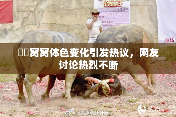 妺妺窝窝体色变化引发热议，网友讨论热烈不断
