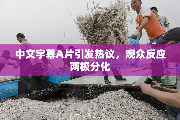 中文字幕A片引发热议，观众反应两极分化