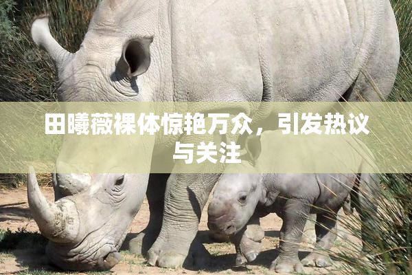 田曦薇裸体惊艳万众，引发热议与关注