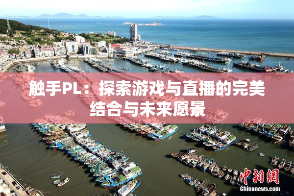 触手PL：探索游戏与直播的完美结合与未来愿景