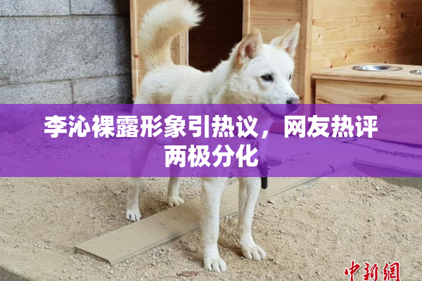 李沁裸露形象引热议，网友热评两极分化