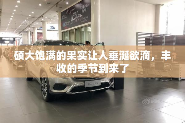 硕大饱满的果实让人垂涎欲滴，丰收的季节到来了