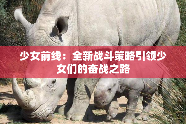 少女前线：全新战斗策略引领少女们的奋战之路