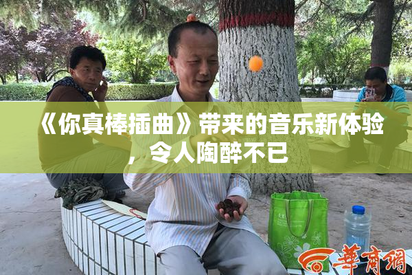 《你真棒插曲》带来的音乐新体验，令人陶醉不已